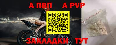 стафф Гатчина
