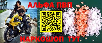 стафф Гатчина