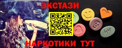 стафф Гатчина
