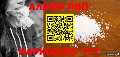 стафф Гатчина