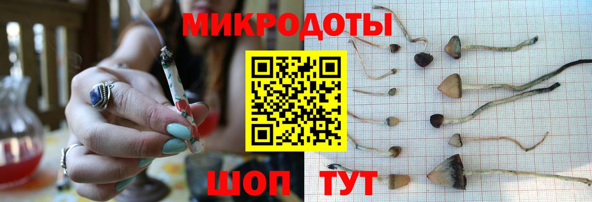 Псилоцибиновые грибы GOLDEN TEACHER  Вход с VPN  Россия  Псилоцибиновые грибы ЛСД 